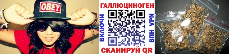 магазин  наркотиков  Калининец  площадка телеграм  Галлюциногенные грибы мицелий 